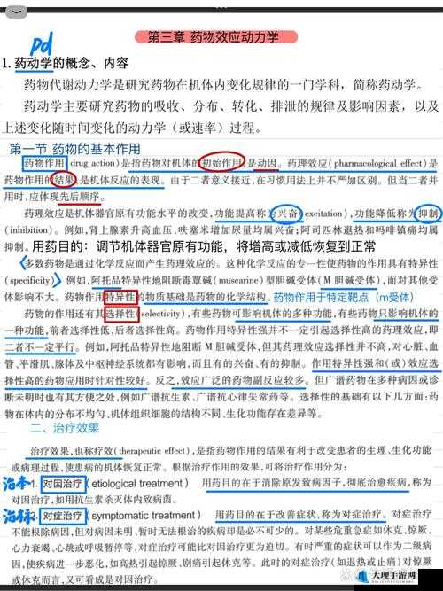 吃了春晚药后有多疯狂小说：揭示令人震惊的药物效应之旅